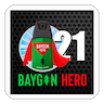 Baygon Hero 21