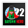 Baygon Hero 22